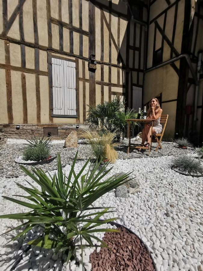 Le Chat De La Cathedrale - Calme - Jardin - Wifi Troyes Zewnętrze zdjęcie